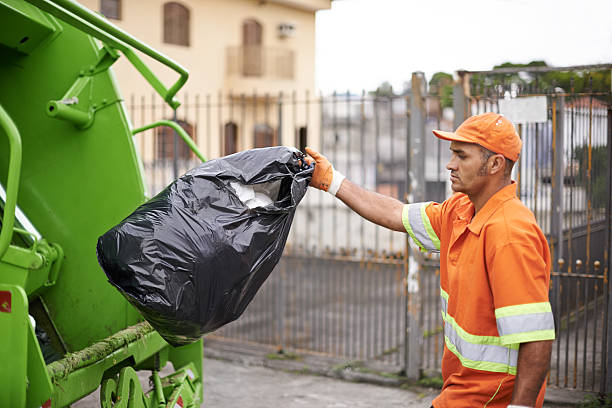 Best Junk Hauling Services  in Dorr, MI