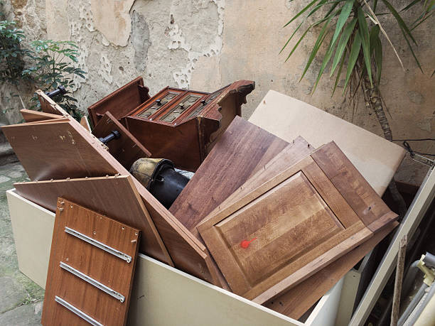Best Yard Cleanup Services  in Dorr, MI
